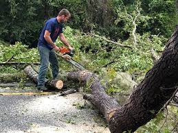Best Lawn Grading and Leveling  in Sallisaw, OK