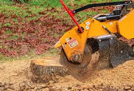 Sallisaw, OK Tree Services Company