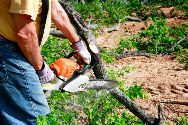 Best Organic Lawn Care Solutions  in Sallisaw, OK